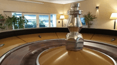 Ruleta Profesional - comprar online