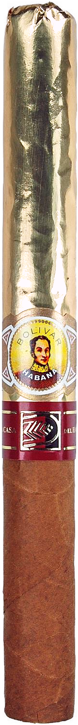 Bolivar Gold Medal