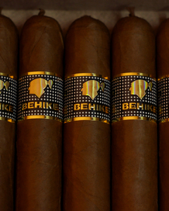Cohiba Behike 54 x 10 - comprar online