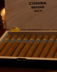 Cohiba Behike 54 x 10
