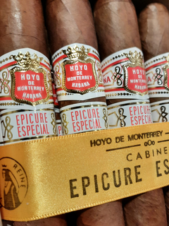Hoyo de Monterrey Epicure Especial Caja x25 (2019) en internet