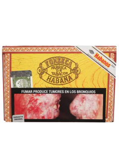 Fonseca KDT Cadetes Caja x25 en internet