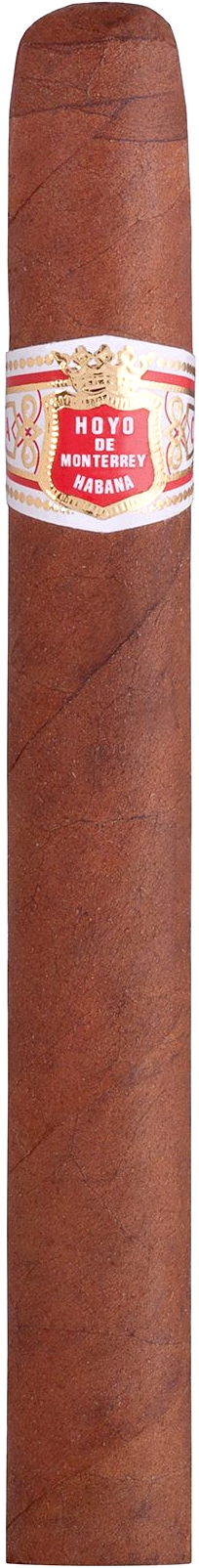 Hoyo de Monterrey Le Hoyo du Maire
