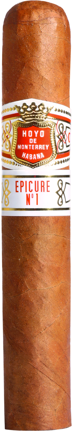 Hoyo de Monterrey Epicure Nº1 Caja x25 - comprar online