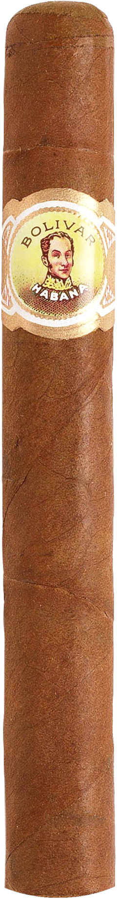 Bolivar Petit Coronas