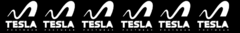 Banner da categoria TESLA