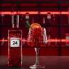 Beefeater 24 45°