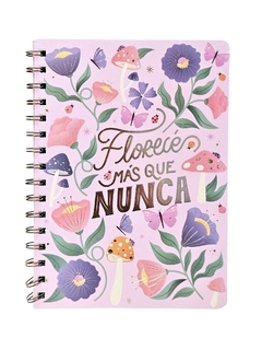 CUADERNO ANILLADO APA A5 - Kodak Tienda