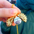 Collar Girasol You Are My Sunshine Ideal Parejas Novios - comprar online