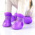 Botitas De Perro X4 S M O L Botas De Lluvia Silicona Zapato