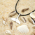 Collar Mujer Hombre Cola Ballena Sirena - Goods Trade