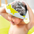 Imagen de Gorro Sombrero De Baño Ducha Bebés Niños Dinosaurio Visera