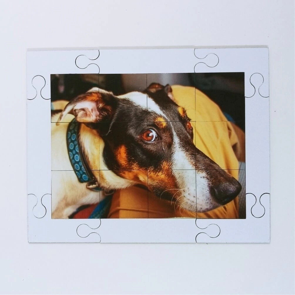 Quebra cabeça Sênior Cachorro 12 pçs Mundo Lúdico