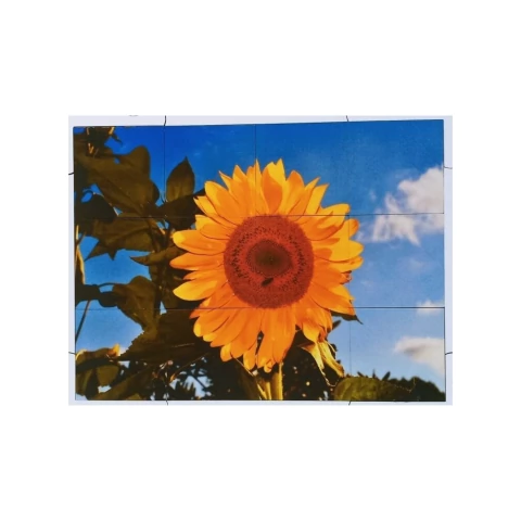 Quebra cabeça Sênior Girassol 12 pçs Mundo Lúdico - comprar online