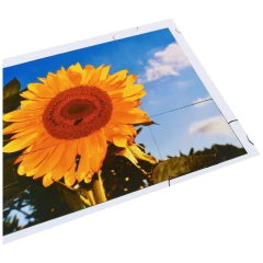 Quebra cabeça Sênior Girassol 12 pçs Mundo Lúdico - loja online