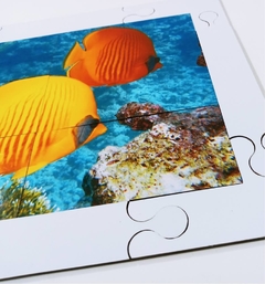 Quebra cabeça Sênior Peixes no Oceano 12 pçs Mundo Lúdico - comprar online