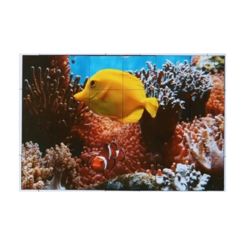 Quebra cabeça Sênior Peixes e Anêmonas 24 pçs Mundo Lúdico - comprar online