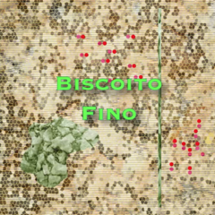 CD Biscoito Fino - Vários artistas - 2023