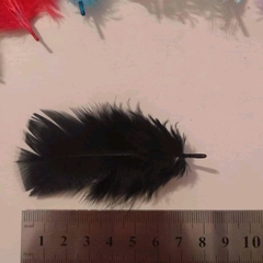 Plumas Gallito x50u - comprar online