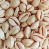 Buzios