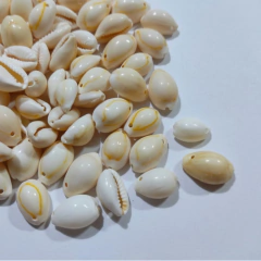 Buzios Enteros Chicos - comprar online