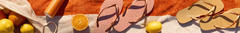 Banner de la categoría Havaianas