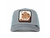 Gorra Goorin Baseball The King Lion