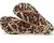 Havaianas Slim Animals - comprar online