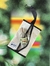 Waves by The Coast Home Fragance N2
