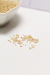 SEMILLAS DE QUINOA