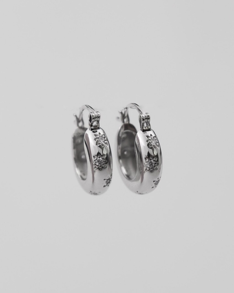 Brinco Argola Emily Prata - comprar online