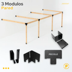 3 Modulo Pared