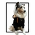 MOLETOM PET MINIMALS CAVIAR