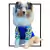 CAMISETA PET T-SHIRT MAY BRASIL AZUL