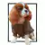 JAQUETA PET PUFFER MILITAR