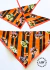 Bandana Frankbóbora - 05 unidades - Loop Pet Store | Acessórios de qualidade para pet shops.