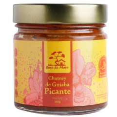 SPICY BITTERSWEET GUAVA JELLY 210g (0,46 lb)