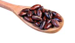 Castanha de Baru 100g