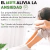 Aceite para la ansiedad: Beneficios y Cómo funciona