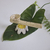 pipe margarida - comprar online