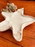 20 velas - Estrela do Mar - 70g na internet