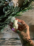 15 unidades • Vela Ursinho - lembrancinhas - Flores do sol