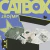 CatBox Memórias Póstumas