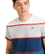 Imagen de Remera New Sailing Stripe - 10144-14