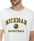 Remera University Michigan MC - 10155 - Mistral