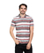 Polo New Hike Stripes MC -20059-5 - Mistral