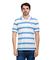 Polo Rowan Stripes MC - 20069 - Mistral