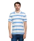Polo Rowan Stripes MC - 20069 - Mistral