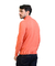 Imagen de Sweater Half Zipper Funny - 40054