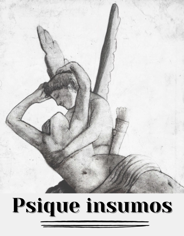 Psique insumos para bijou - Martínez - Zona Norte